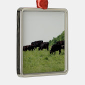 Zwarte Angus Metalen Ornament (Rechts)
