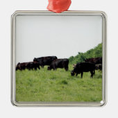 Zwarte Angus Metalen Ornament (Voorkant)