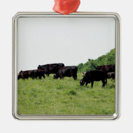 Zwarte Angus Metalen Ornament
