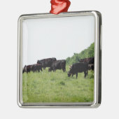 Zwarte Angus Metalen Ornament (Links)