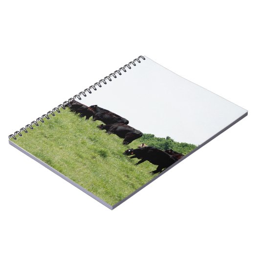 Zwarte Angus Notitieboek (Linkerzijde)