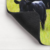 Zwarte Angus Pair in Field Muismat (Hoek)