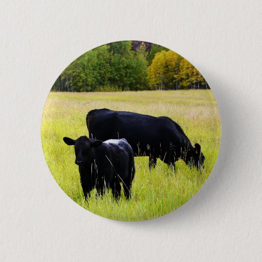 Zwarte Angus Pair in Field Ronde Button 5,7 Cm (Voorkant)