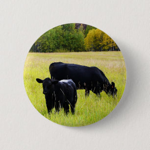 Zwarte Angus Pair in Field Ronde Button 5,7 Cm