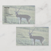 Zwarte antilope visitekaartje (Voorkant / Achterkant)
