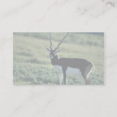 Zwarte antilope visitekaartje (Achterkant)
