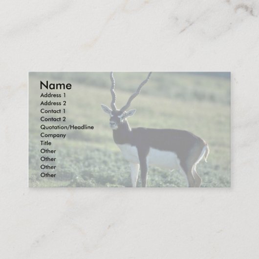 Zwarte antilope visitekaartje (Voorkant)