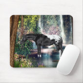 Zwarte Appaloosa Horse Waterfall Background Muismat (Met muis)