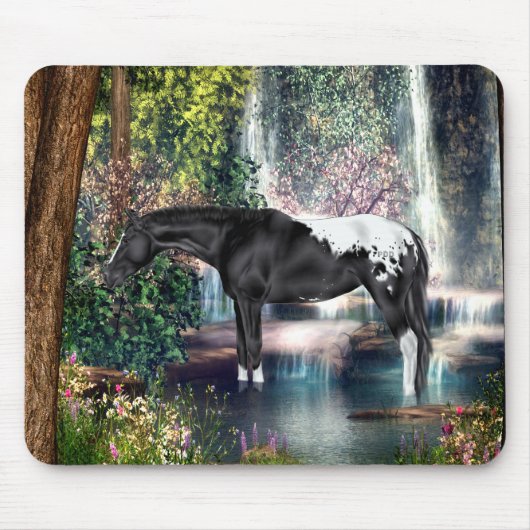 Zwarte Appaloosa Horse Waterfall Background Muismat (Voorkant)