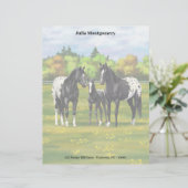 Zwarte appaloosa-paarden in de zomerperiode briefhoofd (Staand voorkant)