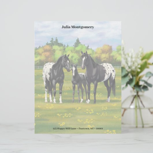 Zwarte appaloosa-paarden in de zomerperiode briefhoofd (Staand voorkant)