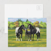 Zwarte appaloosa-paarden in de zomerperiode briefkaart (Voorkant / Achterkant)