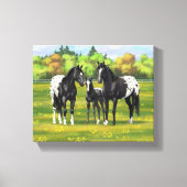 Zwarte appaloosa-paarden in de zomerperiode canvas afdruk (Voorkant)