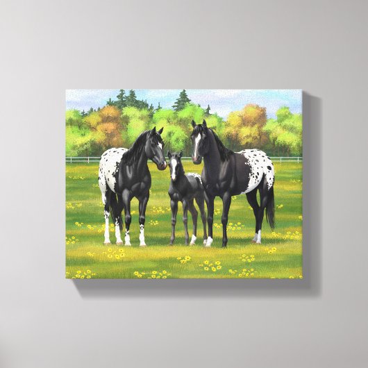 Zwarte appaloosa-paarden in de zomerperiode canvas afdruk (Voorkant)