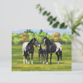 Zwarte appaloosa-paarden in de zomerperiode kaart (Staand voorkant)