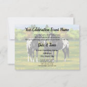 Zwarte appaloosa-paarden in de zomerperiode kaart (Achterkant)