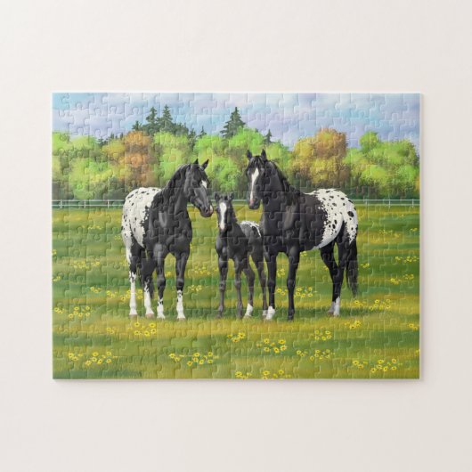Zwarte appaloosa-paarden in de zomerperiode legpuzzel (Horizontaal)
