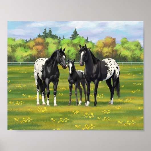 Zwarte appaloosa-paarden in de zomerperiode poster (Voorkant)