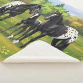 Zwarte appaloosa-paarden in de zomerperiode sherpa deken (3/4)