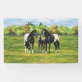 Zwarte appaloosa-paarden in de zomerperiode spandoek (Horizontaal)