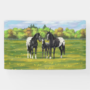 Zwarte appaloosa-paarden in de zomerperiode spandoek