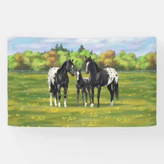 Zwarte appaloosa-paarden in de zomerperiode spandoek (Horizontaal)