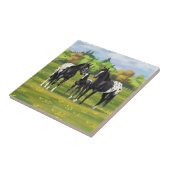 Zwarte appaloosa-paarden in de zomerperiode tegeltje (Zijkant)
