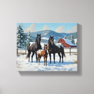 Zwarte Appaloosa paarden op een Boerderij in de wi Canvas Afdruk