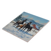 Zwarte Appaloosa paarden op een Boerderij in de wi Tegeltje (Zijkant)