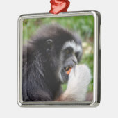 Zwarte appelmoes die een vrucht eten metalen ornament (Links)