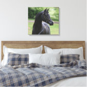 Zwarte Arabische hengst Canvas Afdruk (Insitu (Slaapkamer))