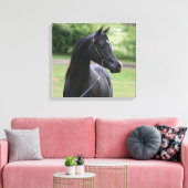 Zwarte Arabische hengst Canvas Afdruk (Insitu (Woonkamer))