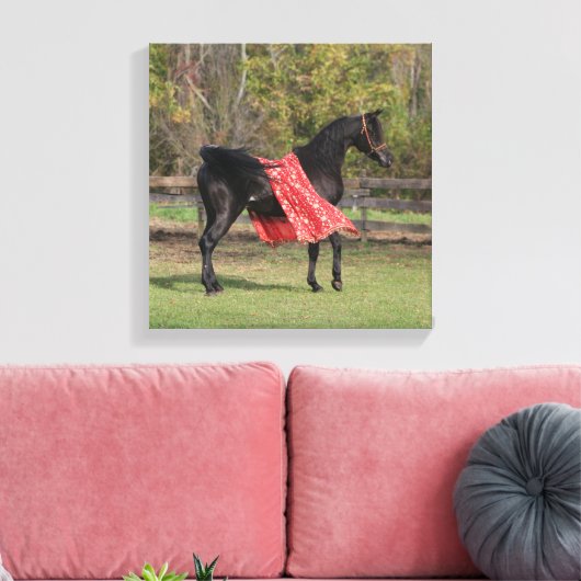 Zwarte Arabische hengst in zijde Canvas Afdruk (Insitu (Woonkamer))