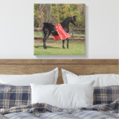 Zwarte Arabische hengst in zijde Canvas Afdruk (Insitu (Slaapkamer))