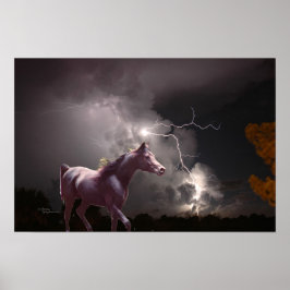 Zwarte Arabische hengst Nachtbliksem Poster