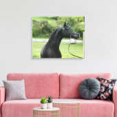 Zwarte Arabische hengst verpakt canvas (Insitu (Woonkamer))
