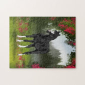 Zwarte Arabische paard in de lenteweide Legpuzzel (Horizontaal)