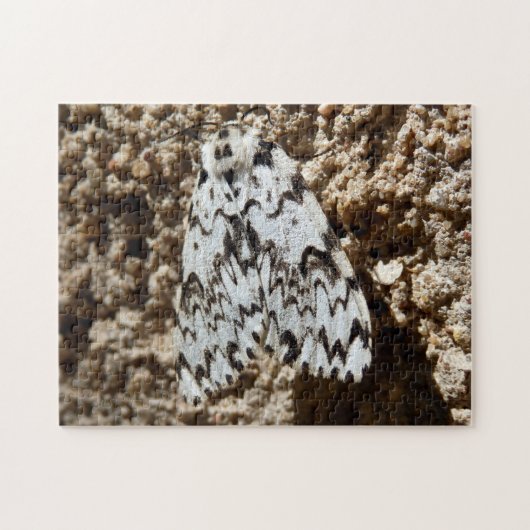 Zwarte Arches Moth Photo Puzzle met Gift Box Legpuzzel (Horizontaal)