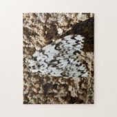 Zwarte Arches Moth Photo Puzzle met Gift Box Legpuzzel (Verticaal)