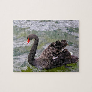 Zwarte Australische zwanen Legpuzzel