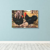 Zwarte Australorp Haan en Heen in bosrijke omgevin Canvas Afdruk (Insitu (Houten vloer))