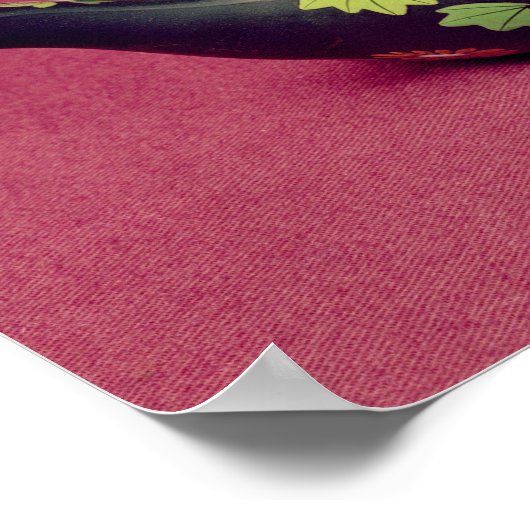 Zwarte baardschildpad poster (Hoek)