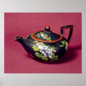 Zwarte baardschildpad poster (Voorkant)