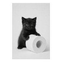 Zwarte babykat beschermt rol toiletpapier