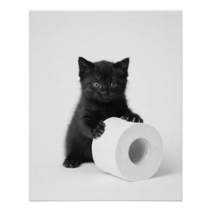 Zwarte babykat beschermt rol toiletpapier perfect poster