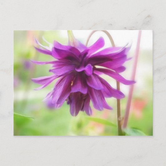 Zwarte Barlow Columbine Briefkaart (Voorkant)