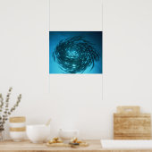 Zwarte barracuda zwemmen in cirkels poster (Keuken)