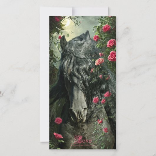 Zwarte Beauty Friese Paard - Wenskaart Feestdagenkaart (Voorkant)