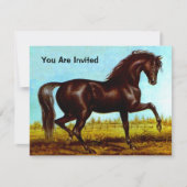 ZWARTE BEAUTY HORSE BIRTHDAY ARTIJ INVITATIE KAART (Voorkant)