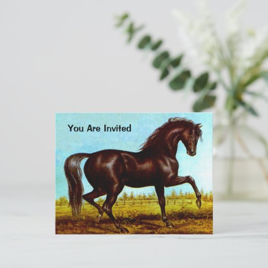 ZWARTE BEAUTY HORSE BIRTHDAY ARTIJ INVITATIE KAART (Staand voorkant)